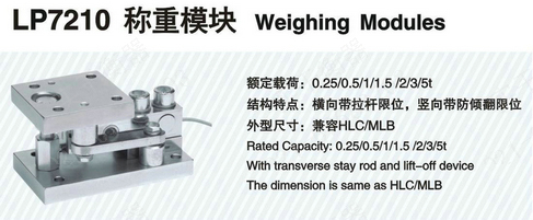 25噸進口反應釜模塊