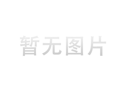 原裝車間打印電子小地磅，車間電子智能小地磅